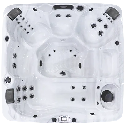 Avalon-X EC-840LX hot tubs for sale in Michigan Center