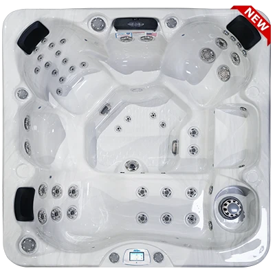 Avalon-X EC-849LX hot tubs for sale in Michigan Center