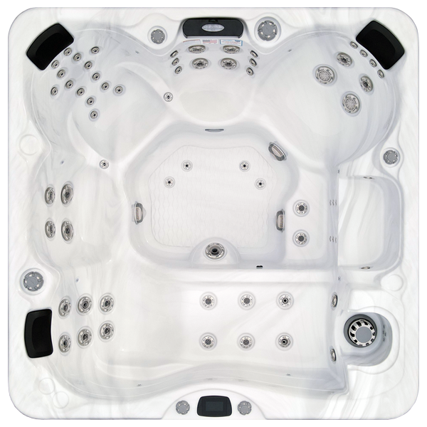 Avalon-X EC-867LX hot tubs for sale in Michigan Center