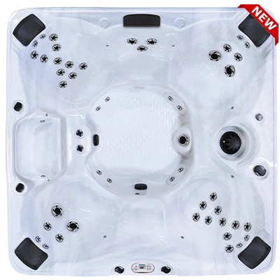 Bel Air Plus PPZ-843BC hot tubs for sale in Michigan Center